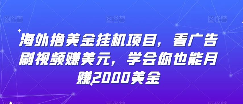 海外撸美金挂机项目，看广告刷视频赚美元，学会你也能月赚2000美金-鼎铸网