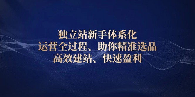 e569f2fd88fdd88686a5a8d075d5b54f.jpeg 独立站新手体系化 运营全过程,助你精准选品、高效建站、快速盈利