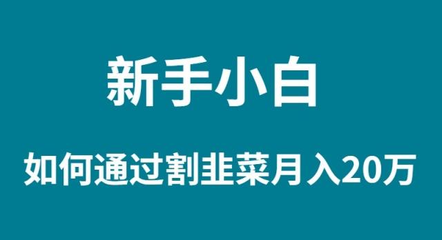 (9308期)新手小白如何通过割韭菜月入 20W-鼎铸网