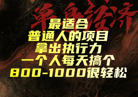 最适合普通人的项目,拿出执行力一个人每天搞个800-1k很轻松【揭秘】-鼎铸网