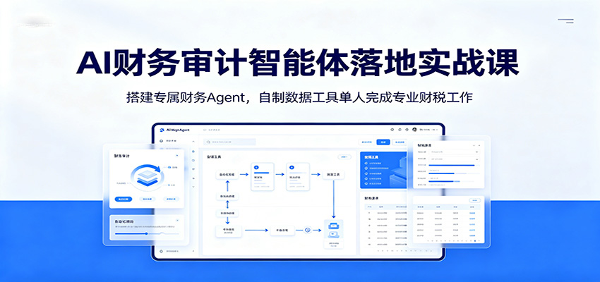 AI财务审计智能体落地实战课：搭建专属财务Agent，自制数据工具单人完成专业财税工作-鼎铸网