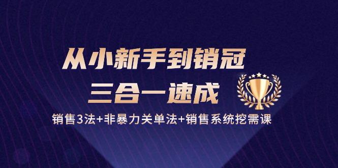 从小新手到销冠 三合一速成:销售3法+非暴力关单法+销售系统挖需课 (27节-鼎铸网