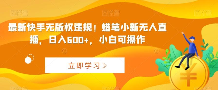 最新快手无版权违规！蜡笔小新无人直播，日入600+，小白可操作【揭秘】-鼎铸网