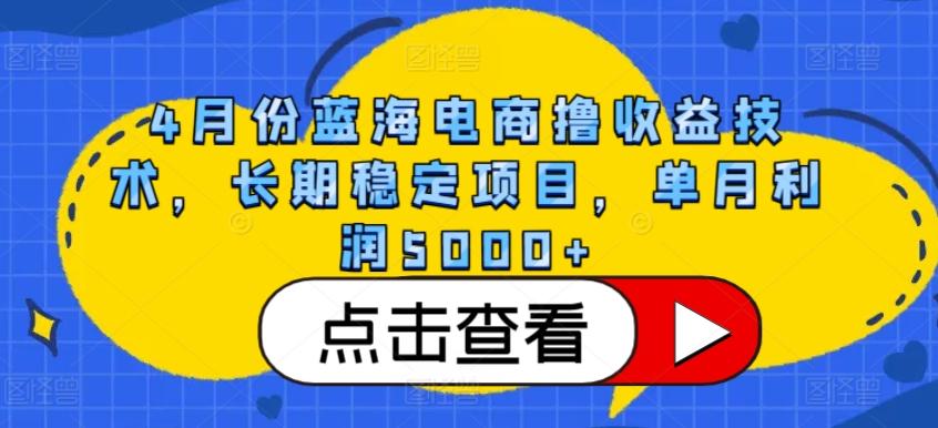 4月份蓝海电商撸收益技术，长期稳定项目，单月利润5000+【揭秘】-鼎铸网