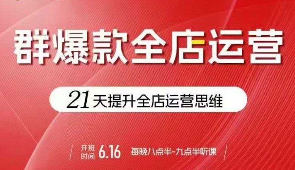 贾真电商群爆款全店运营，21天提升全店运营思维，起店、全店运营爆款不断-鼎铸网