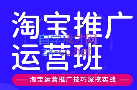 美迪电商·淘宝高级运营班+推广运营班(更新9月)-鼎铸网