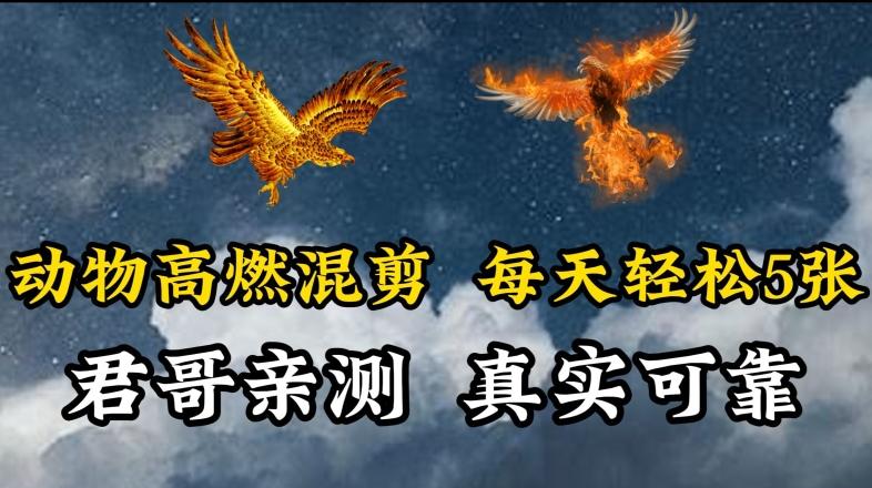 动物超燃混剪，每天轻松5张，剪辑简单大家爱看【揭秘】-鼎铸网
