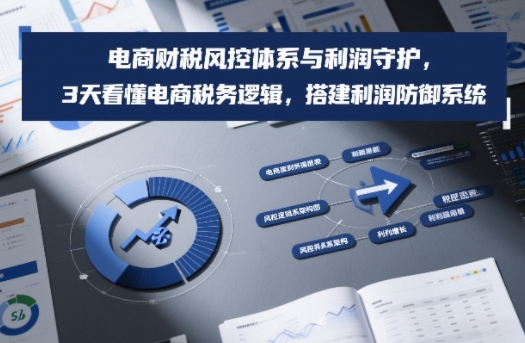 eb6b02fcd355a0e7b536d1ebe9f7260d.jpeg 电商财税风控体系与利润守护,3天看懂电商税务逻辑,搭建利润防御系统