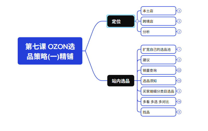 eb7a47e54066dfbe0638d8de85295373.jpeg 2026最新OZON全流程运营实操跨境电商平台教程,OZON全流程一站式系统学习必修课,从开店到跟卖到精铺