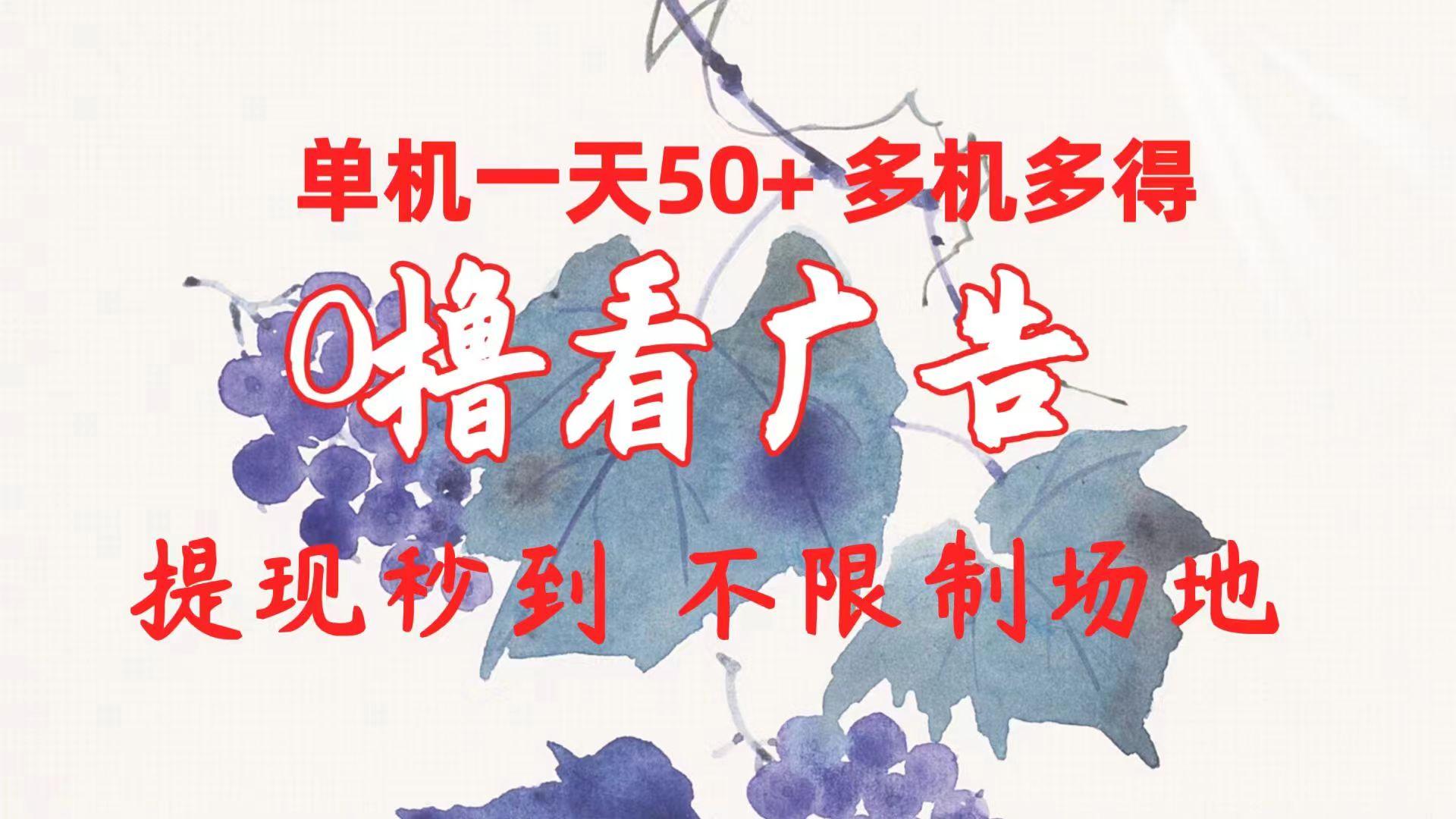0撸看广告 单机一天50+多机多得 提现秒到 不限制场地操作-鼎铸网