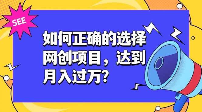 如何正确的选择网创项目，达到月入过万？，本课程教你正确选择项目。-鼎铸网