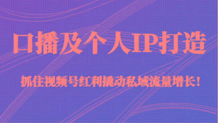 口播及个人IP打造，抓住视频号红利撬动私域流量增长！（45节课）-鼎铸网