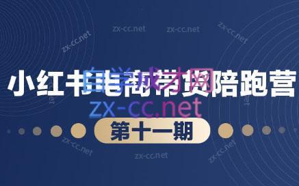 盗坤·小红书电商带货陪跑营(第十一期)-鼎铸网