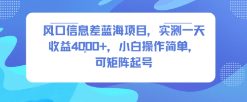 风口信息差蓝海项目，实测一天收益4k+，小白操作简单，可矩阵起号-鼎铸网