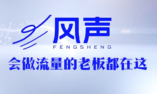 董十一·风声短视频AI获客年度会员-鼎铸网