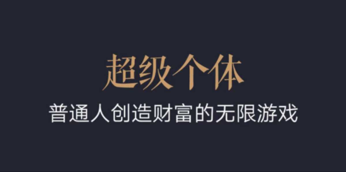 超级个体：2024-2025翻盘指南，普通人创造财富的无限游戏-鼎铸网