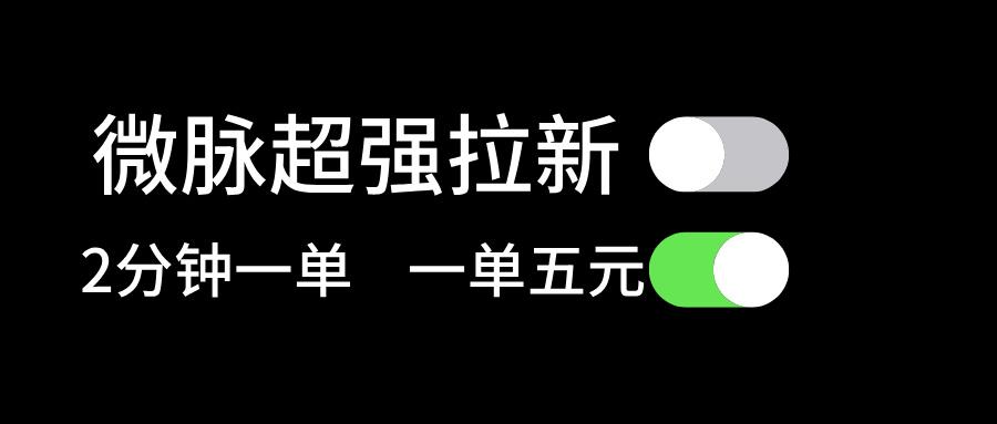 微脉超强拉新， 两分钟1单， 一单利润5块，适合小白-鼎铸网