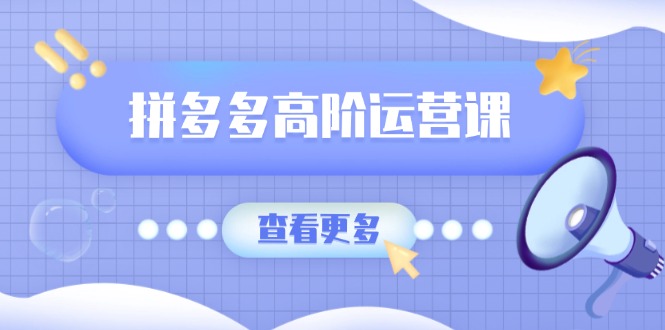 拼多多高阶运营课：极致群爆款玩法，轻付费无尽复制，打造单品爆款之路-鼎铸网