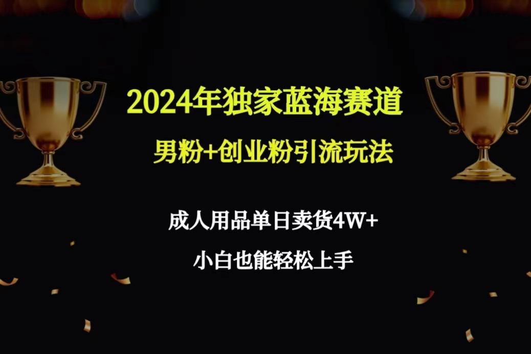 2024年独家蓝海赛道男粉+创业粉引流玩法，成人用品单日卖货4W+保姆教程-鼎铸网