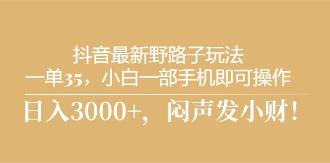 抖音最新野路子玩法，一单35，小白一部手机即可操作，，日入3000+，闷…-鼎铸网