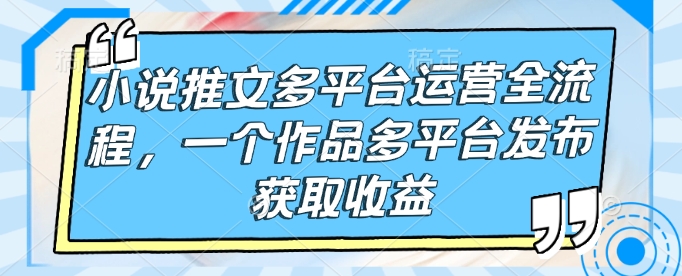 小说推文多平台运营全流程，一个作品多平台发布获取收益-鼎铸网