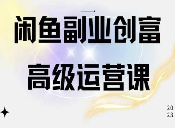 闲鱼电商运营高级课程，一部手机学会闲鱼开店赚钱-鼎铸网