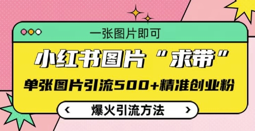 f30af1010714211504de2ad251c90cef.jpeg 小红书图片‘求带’爆火引流法,单张图片引流500+精准创业粉【揭秘】