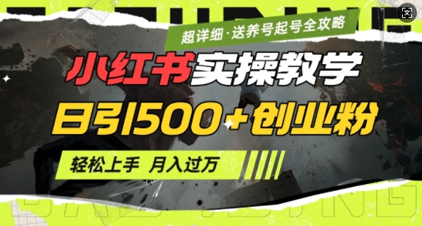 2月小红书最新日引500+创业粉实操教学【超详细】小白轻松上手,月入1W+,附小红书养号起号SOP-鼎铸网
