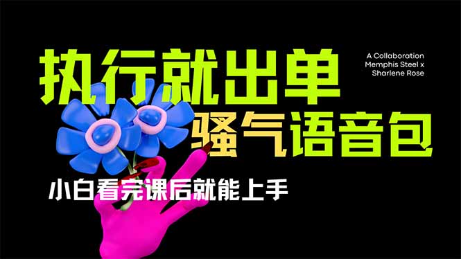 爆火全网的开车导航骚气语音包,只要执行就出单，小白看完课程就能实操…-鼎铸网