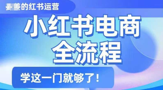 小红书电商全流程，精简易懂，从入门到精通，学这一门就够了-鼎铸网