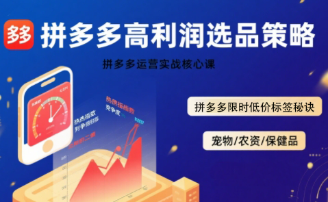 久号老师·拼多多选品暴利技术实战课-鼎铸网