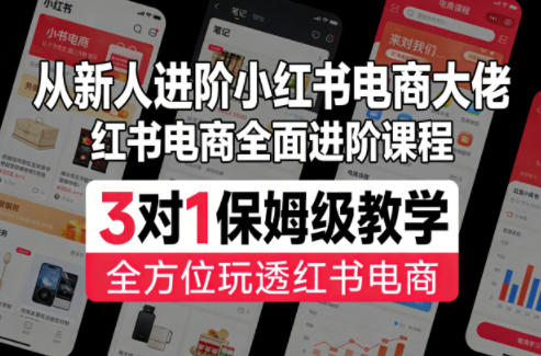 从新人进阶小红书电商大佬,红书电商全面进阶课程,3对1保姆级教学,全方位玩透红书电商-鼎铸网