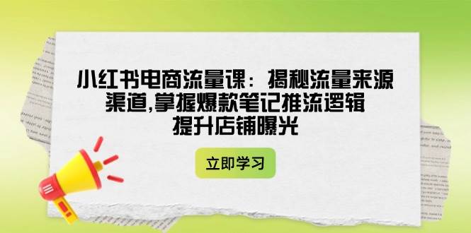 小红书电商流量课：揭秘流量来源渠道,掌握爆款笔记推流逻辑,提升店铺曝光-鼎铸网