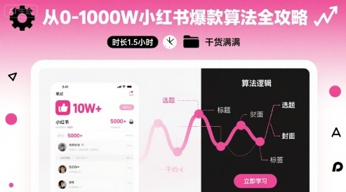 从0-1000W小红书爆款算法全攻略，时长1.5小时，干货满满-鼎铸网