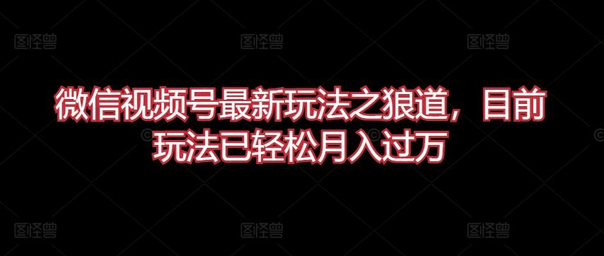 微信视频号最新玩法之狼道，目前玩法已轻松月入过万【揭秘】-鼎铸网