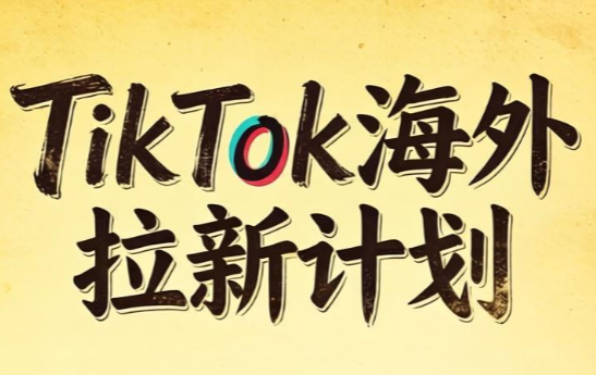 Tc联盟·TikTok海外拉新项目(更新9月)-鼎铸网