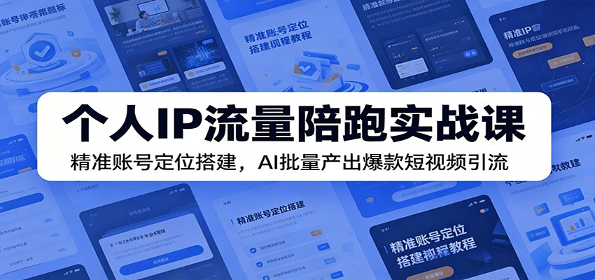 个人IP流量陪跑实战课：精准账号定位搭建，AI批量产出爆款短视频引流-鼎铸网