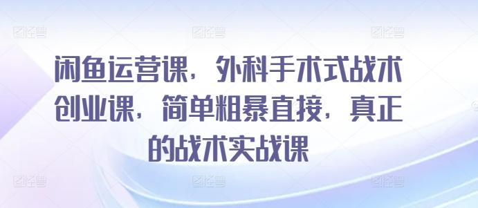 f956446e4e1c54f1189c7b05055ac1c9.jpeg 闲鱼运营课,外科手术式战术创业课,简单粗暴直接,真正的战术实战课
