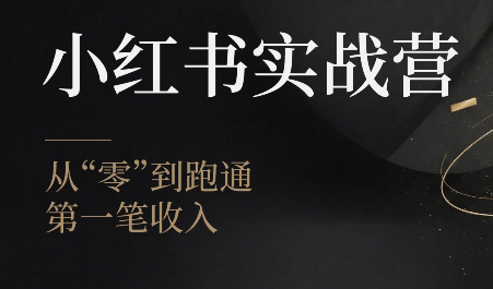 金金老师·小红书实战营-鼎铸网