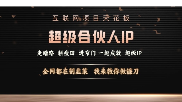 互联网项目天花板，超级合伙人IP，全网都在割韭菜，我来教你做镰刀【仅揭秘】-鼎铸网
