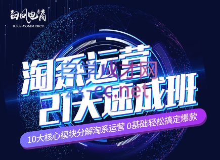 淘系运营21天速成班(更新24年6月)-鼎铸网