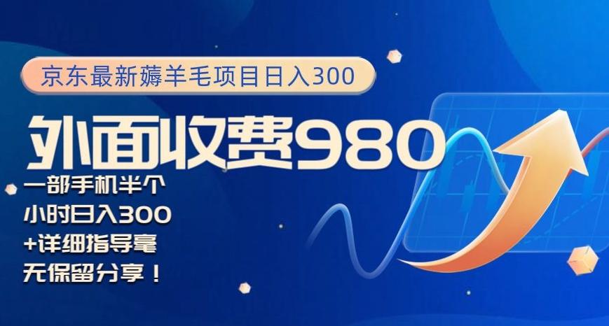京东最新薅羊毛项目小白怎么做到日入300+一部手机半小时搞定-鼎铸网
