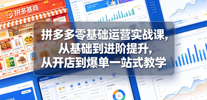 拼多多零基础运营实战课,从基础到进阶提升,从开店到爆单一站式教学-鼎铸网
