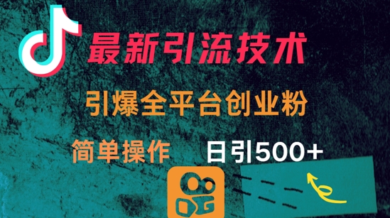 最新引流方法，引爆全平台的一个创业粉，简单操作日引300+-鼎铸网
