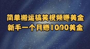 简单搬运搞笑视频挣美金,新手一个月入1k美金-鼎铸网