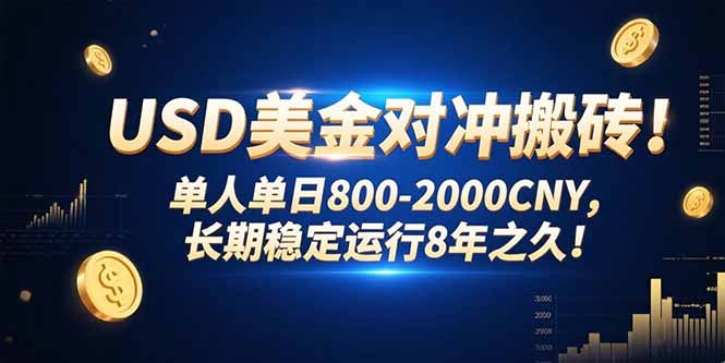 USD美金对冲搬砖!单人单日800-2000CNY,长期稳定运行8年之久!-鼎铸网