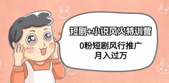 小说+短剧风火特训营，0粉短剧小说风行推广，实现月入过万-鼎铸网